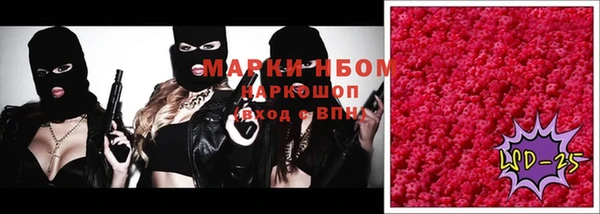 прущие грибы Бородино