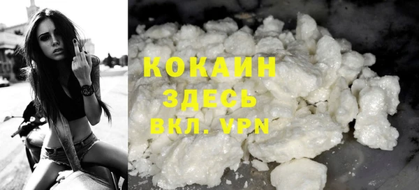 прущие грибы Бородино