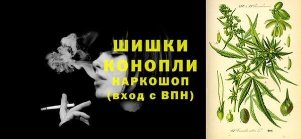 прущие грибы Бородино