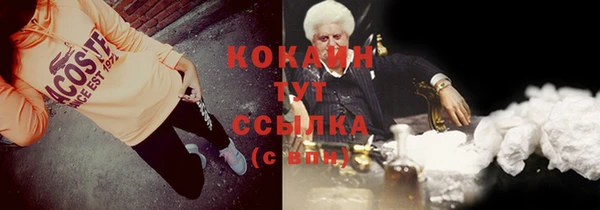 прущие грибы Бородино