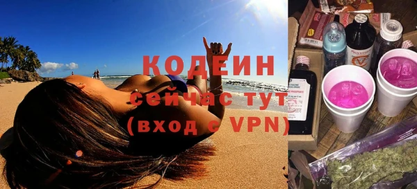 прущие грибы Бородино
