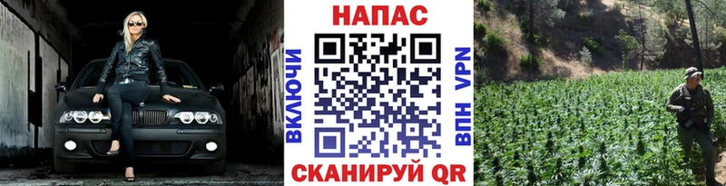 Канабис сатива Вихоревка