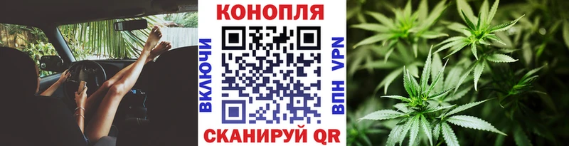 Бошки Шишки марихуана  где продают   hydra ссылка  Вихоревка 